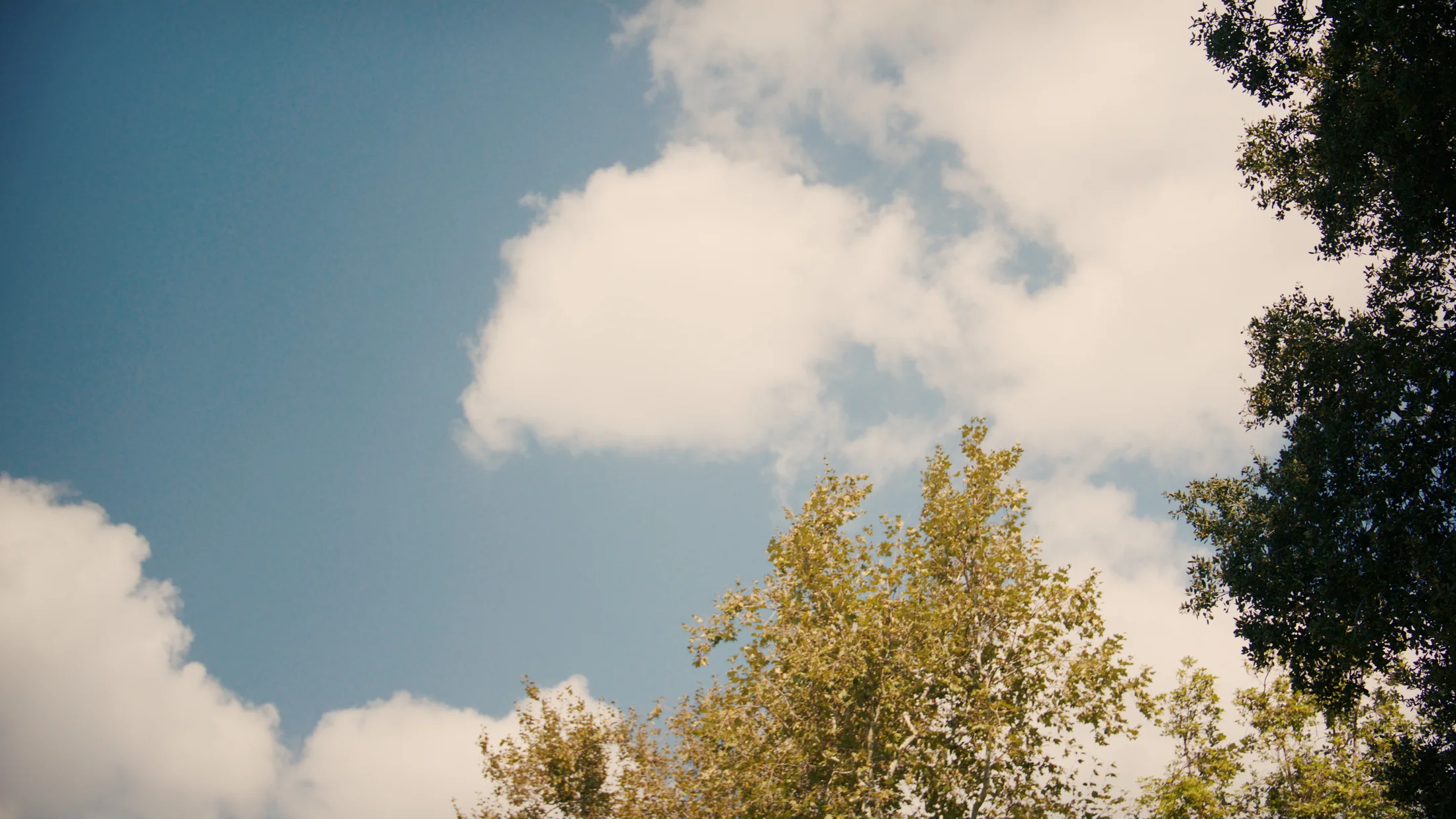 In The Clouds still 4