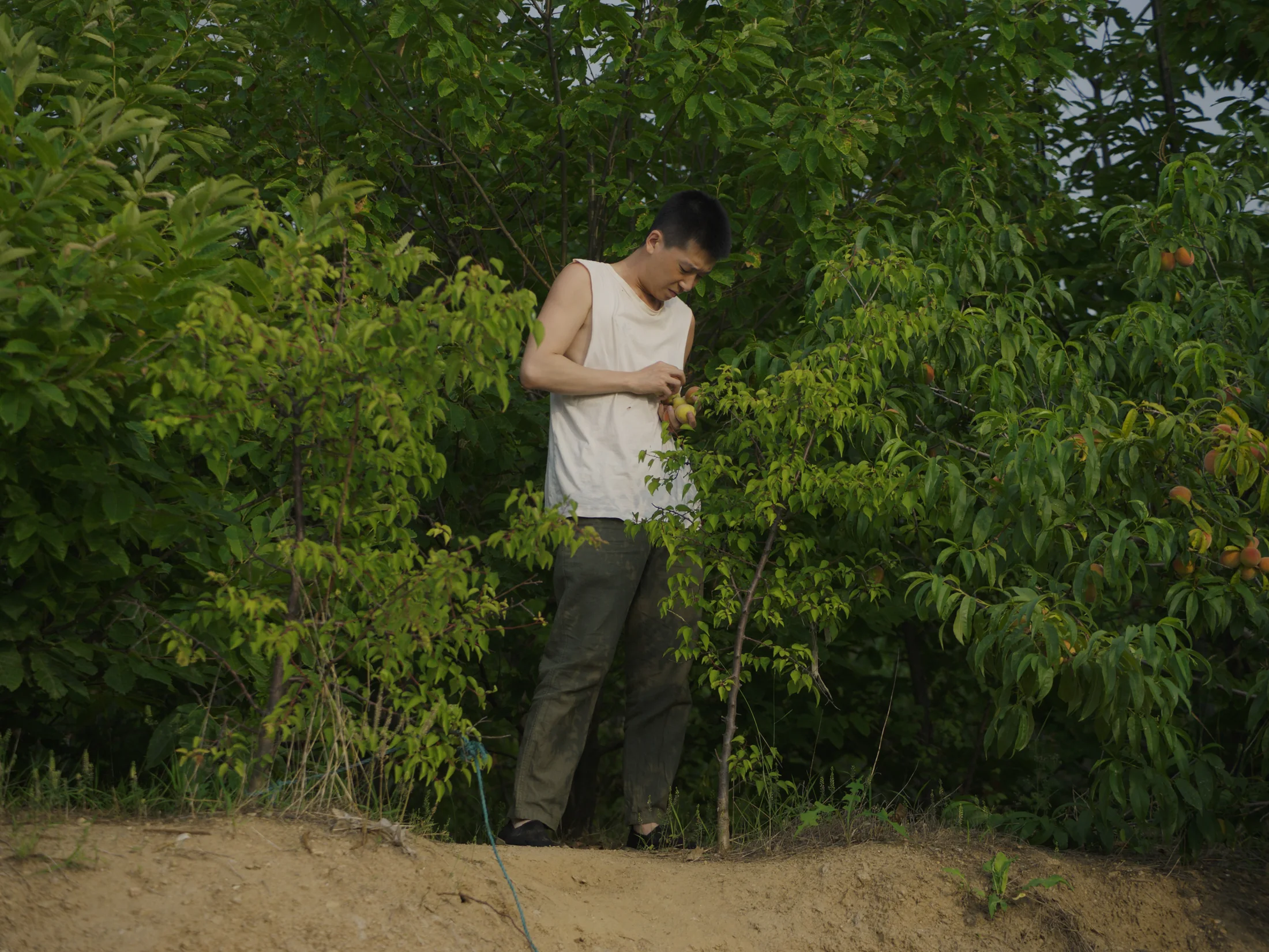 Moonlight Tonight (Coming Soon) still 3