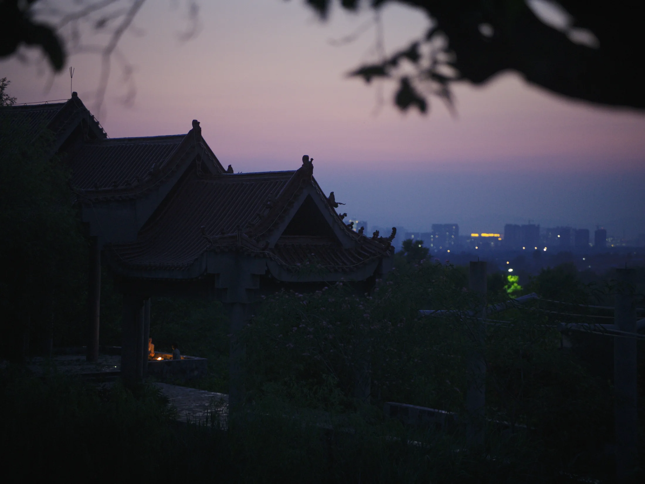 Moonlight Tonight (Coming Soon) still 26